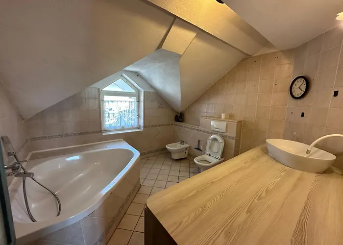 Adax With Huge Garden, Swimming Pool And Bbq Homestay Ljubljana